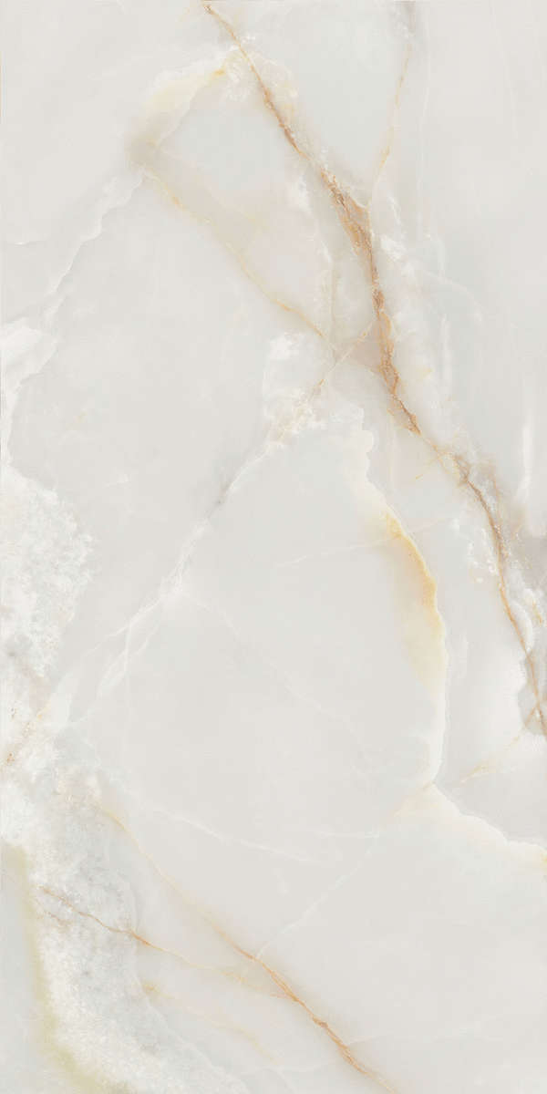 Global Tile Bloom  60x120  (  +  ) -6