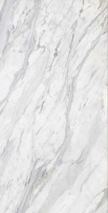 Global Tile Calacatta Belgia  60x120 