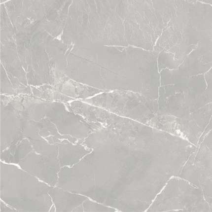 Global Tile Carolina  60x60