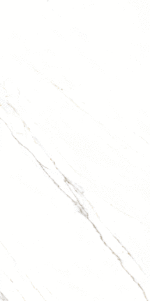 Global Tile Corus   60x120