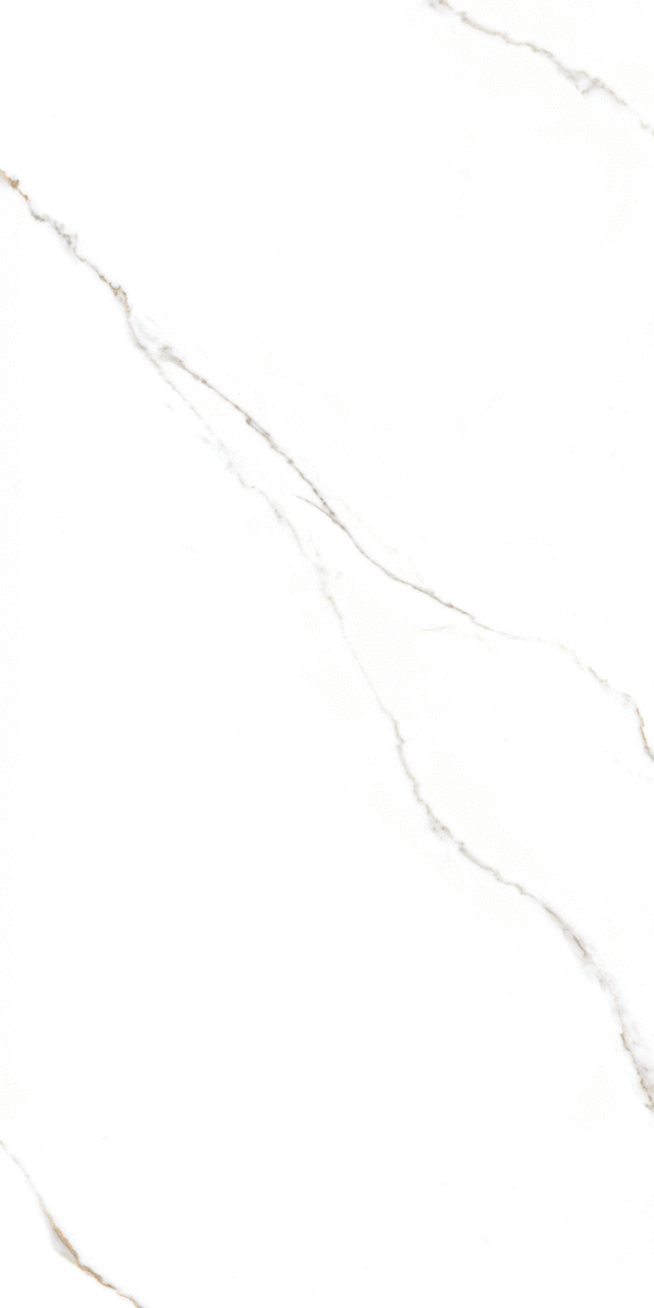 Global Tile Corus   60x120 -2