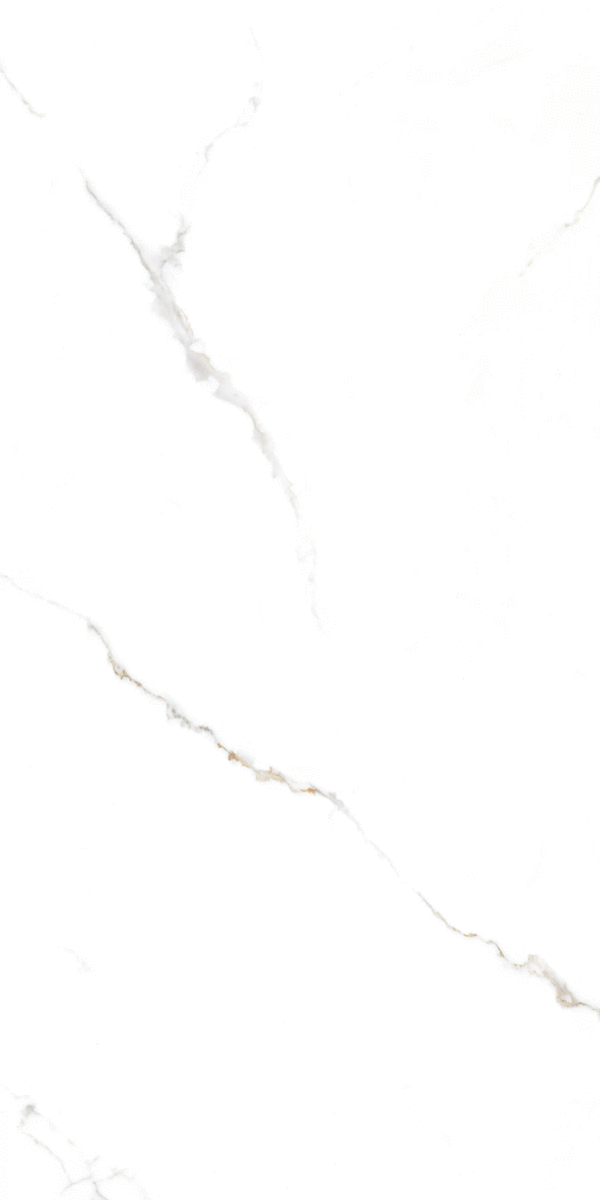 Global Tile Corus   60x120 -3