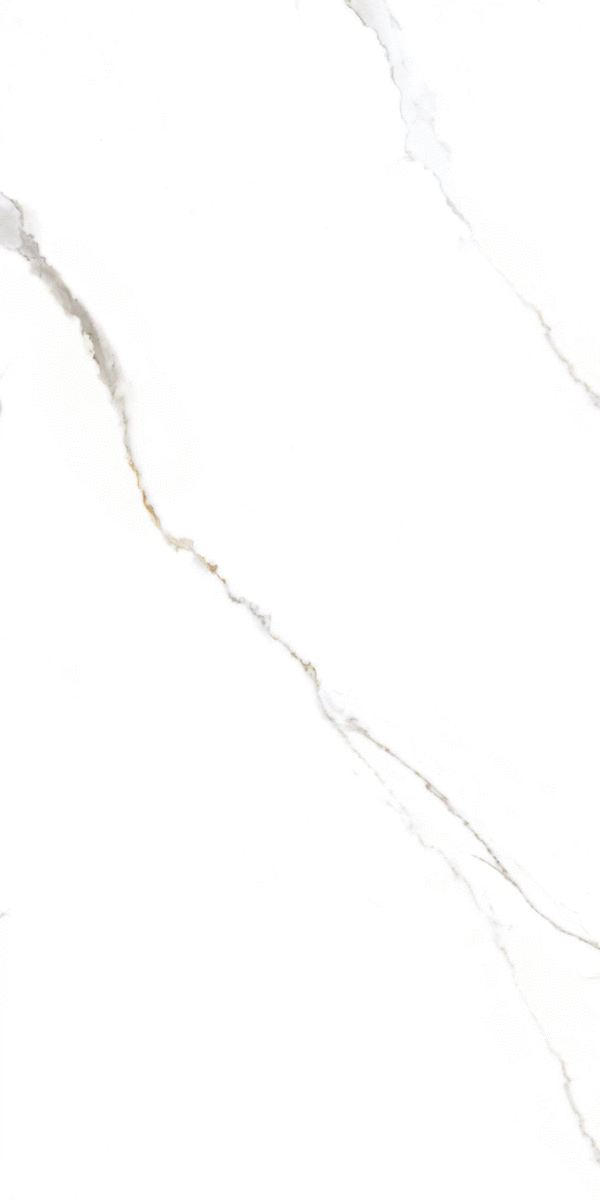 Global Tile Corus   60x120 -4