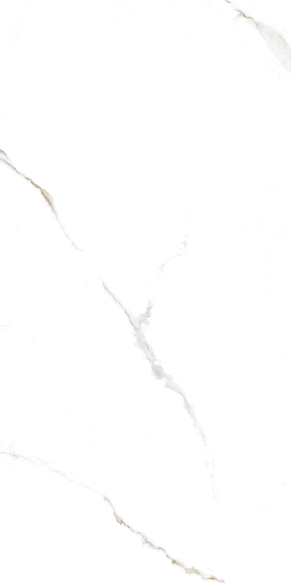 Global Tile Corus   60x120 -5