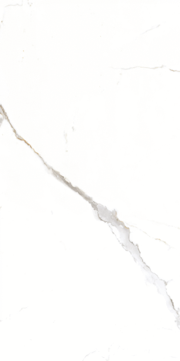 Global Tile Corus   60x120 -6