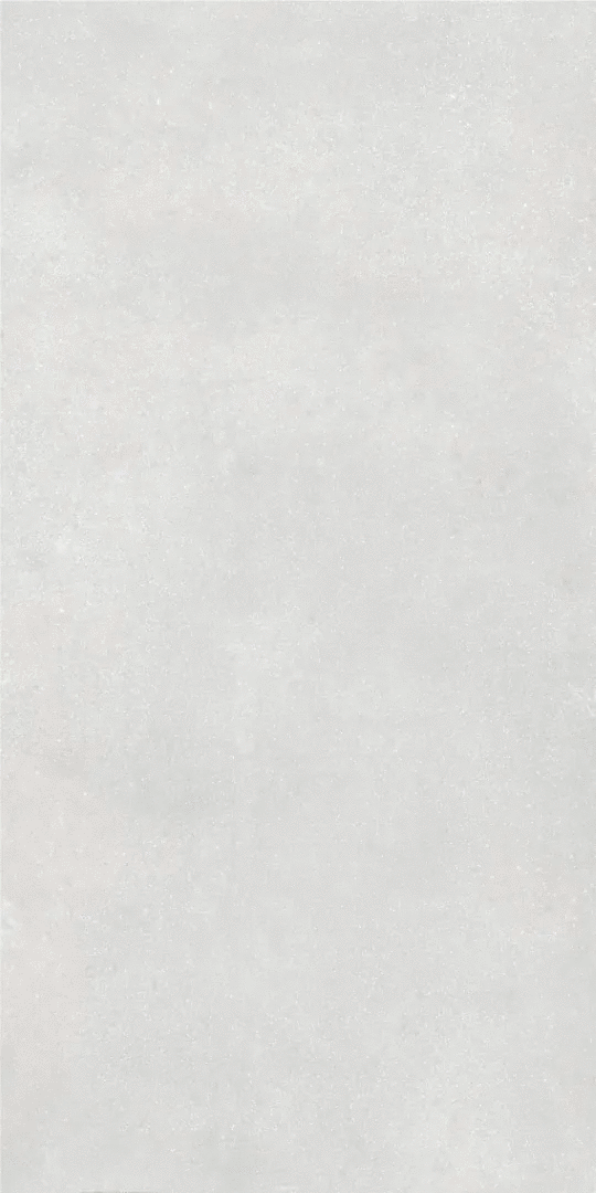 Light grey - PG 11 60120 (600x1200)