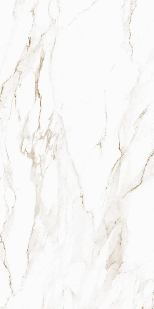 Gracia ceramica Golden White  PG 11 60120 -5