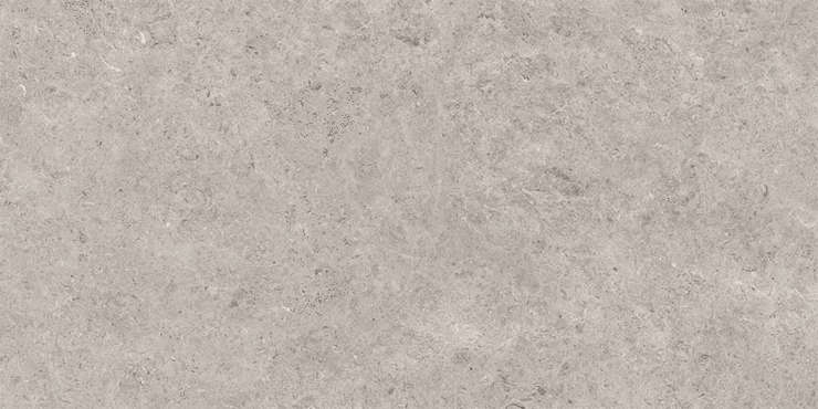 Gravita Seashell Natural R10 Carving 60x120