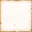 White (125x125)