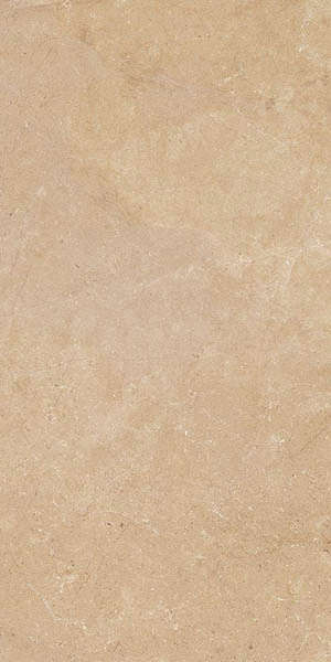 Amber Matt 59.5x119.2 (595x1192)