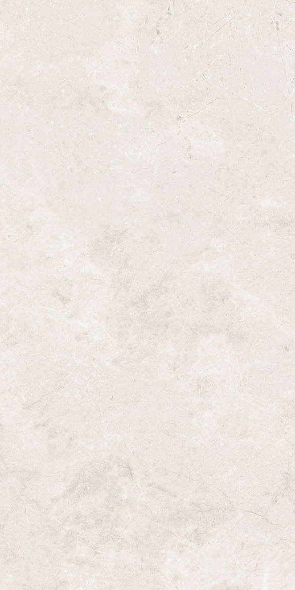 Bone Matt 59.5x119.2 (595x1192)