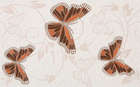 Decor Butterfly 25x40 (400x250)