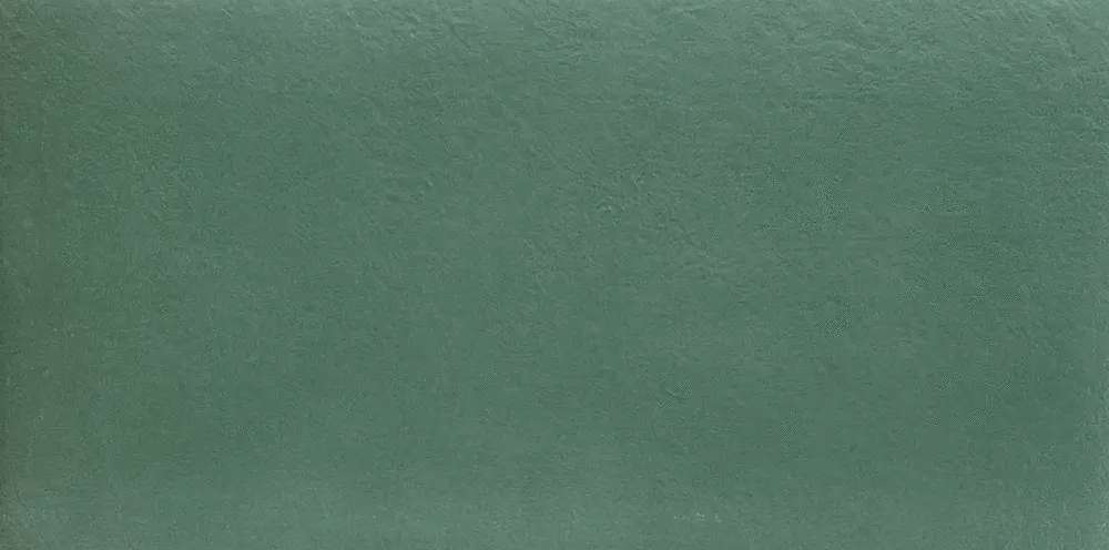 AVOCADO6 12 (1200x600)