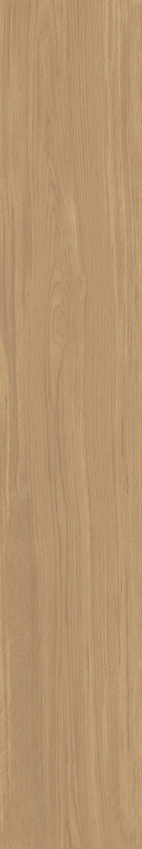 MIRRA6 SL 2012 20x120 (200x1200)