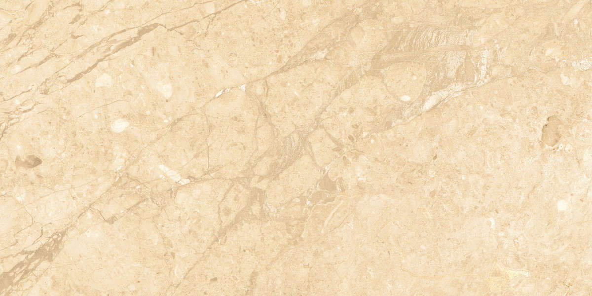 Beige Glossy Golden Line 60x120 (  - ) (1200x600)