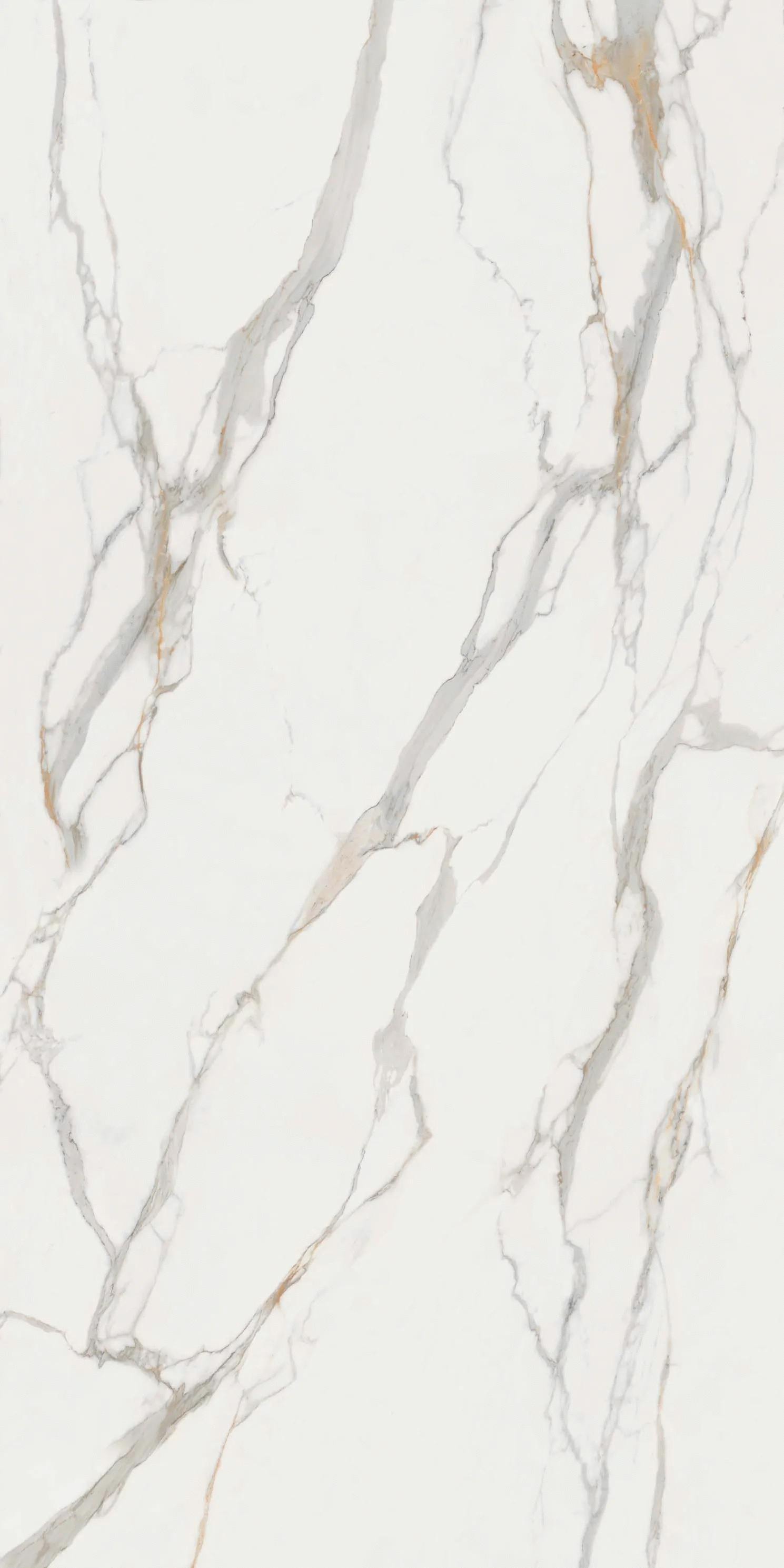 MB06 Calacatta Oro A Satin 12mm 162x324 (1620x3240)
