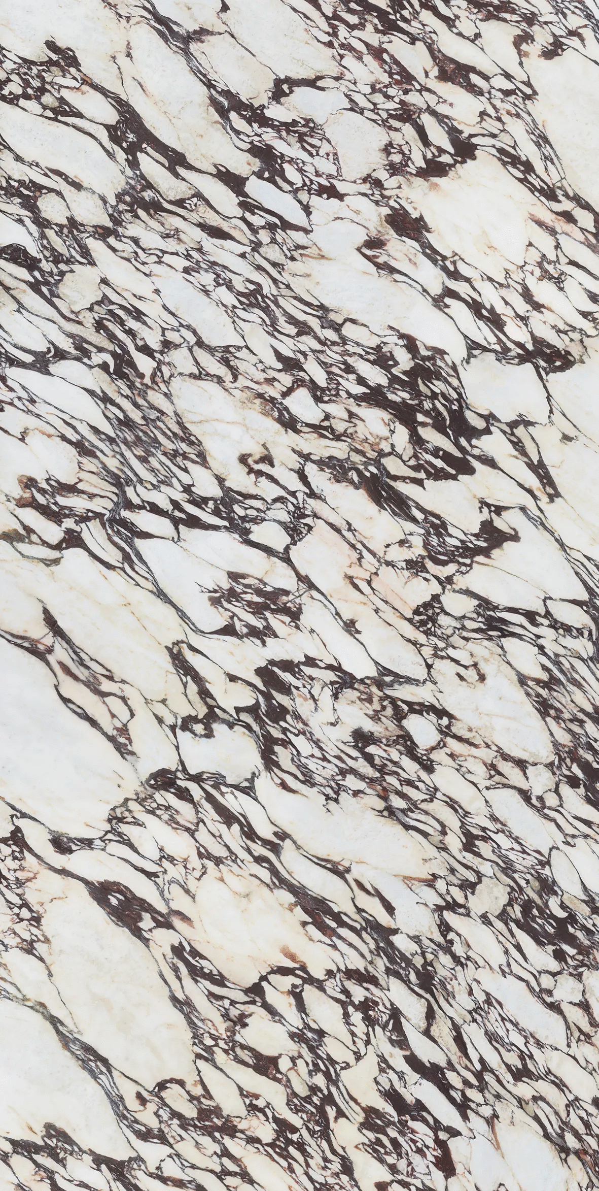 MB22 Calacatta Viola Lev 12mm 162x324 (1620x3240)