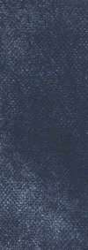 Army Canvas Blue (100x300)