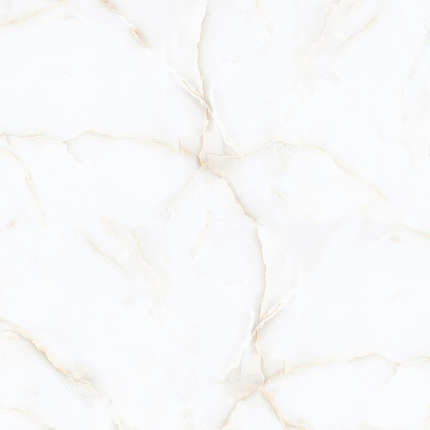 Italica Passion White Onyx Polished 120x120 28