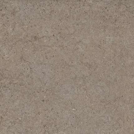 Italon Discover Desert 60x60   