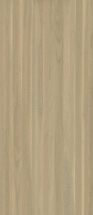 Italon Magma Oak Nat Ret 120x278