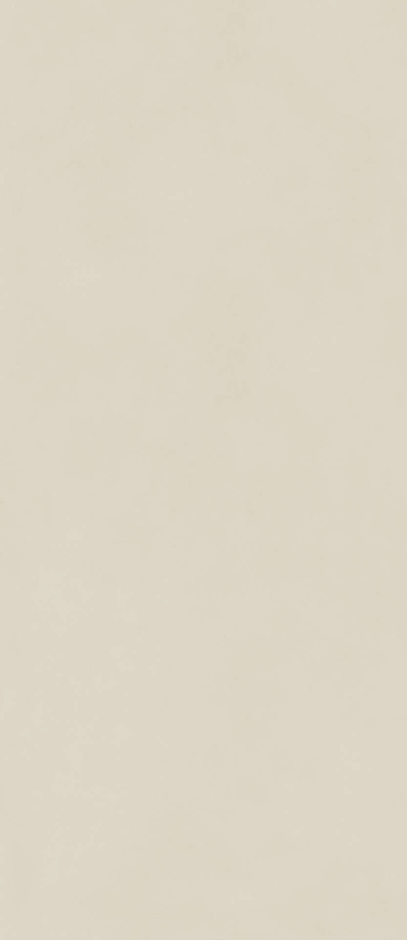 Slim Pure 120x278 (1200x2780)