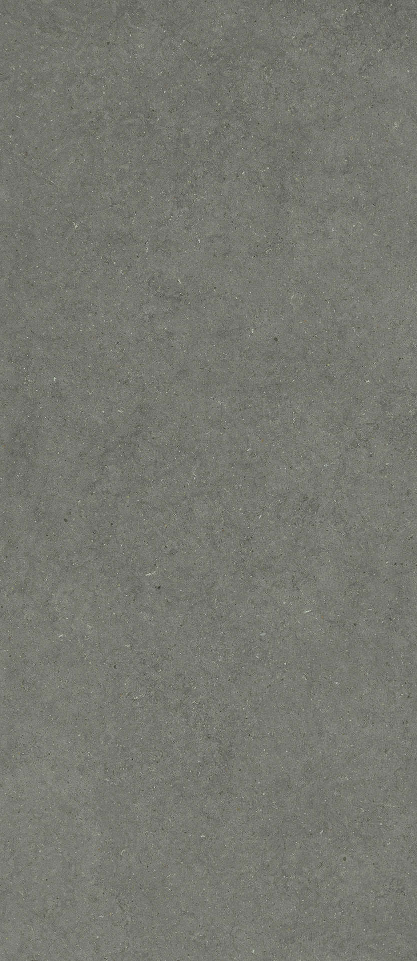 Stone Iron 120x278 (1200x2780)