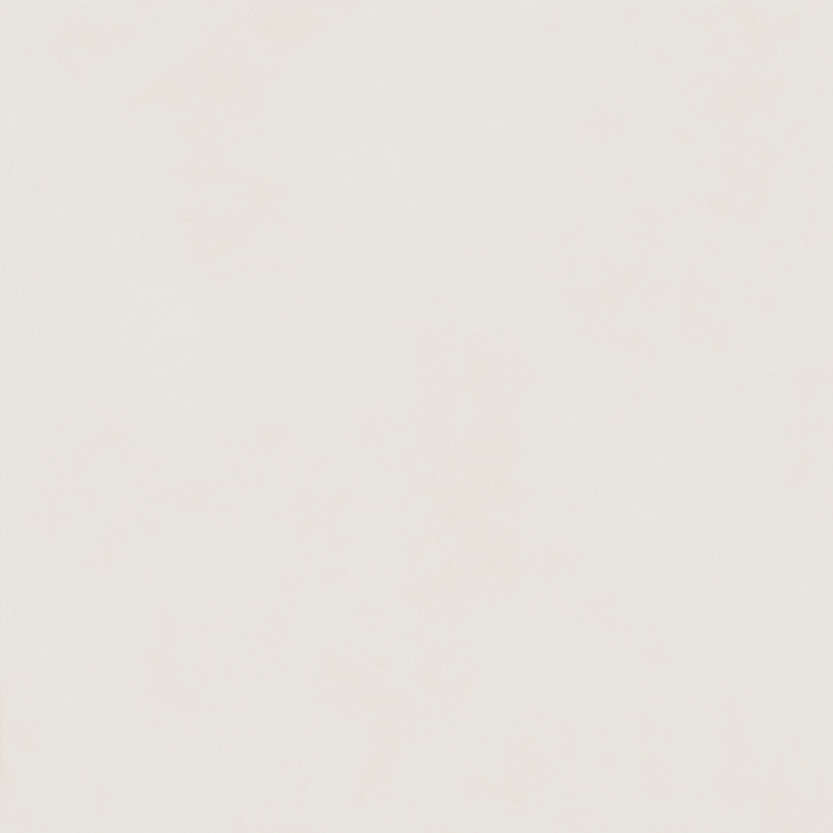 Slim Polar Ret 120x120 (1200x1200)