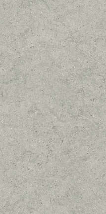 Italon Forum Stone Silver Ret 60x120