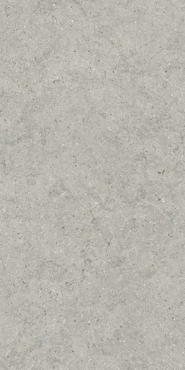 Stone Silver Ret 60x120 (600x1200)