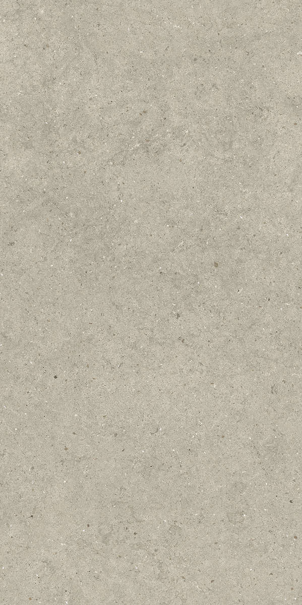 Stone Desert Ret 60x120 (600x1200)