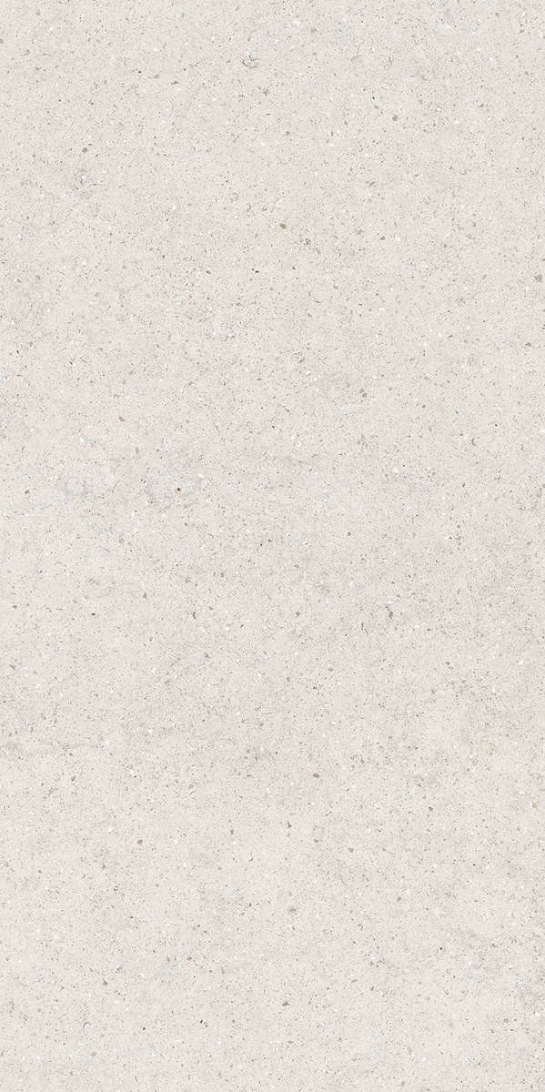 Stone Polar Ret 60x120 (600x1200)