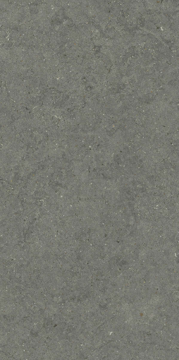 Stone Iron Ret 60x120 (600x1200)