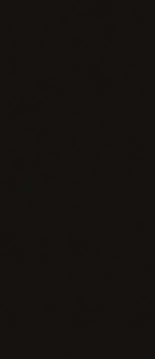 Putty Pure Black Matt 120x280 (1200x2800)