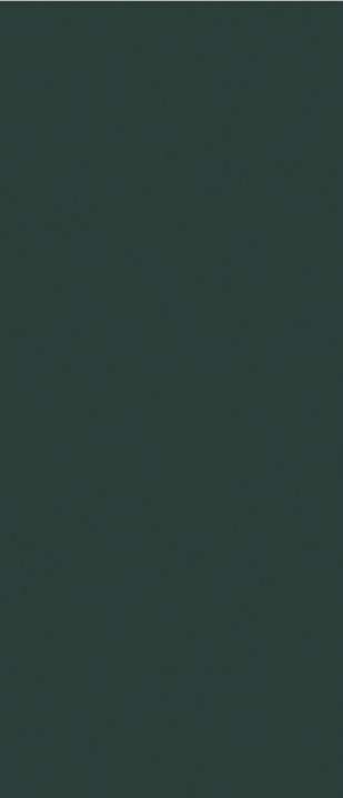 Posidonia Green Text 120x280 (1200x2800)