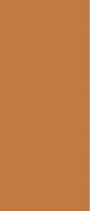 Janye Slab Solid Color Sunchine Orange Matt 120x280