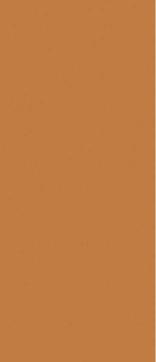 Sunchine Orange Matt 120x280 (1200x2800)