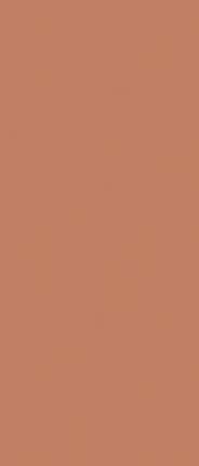 Janye Slab Solid Color Arcilla Red Matt 120x280