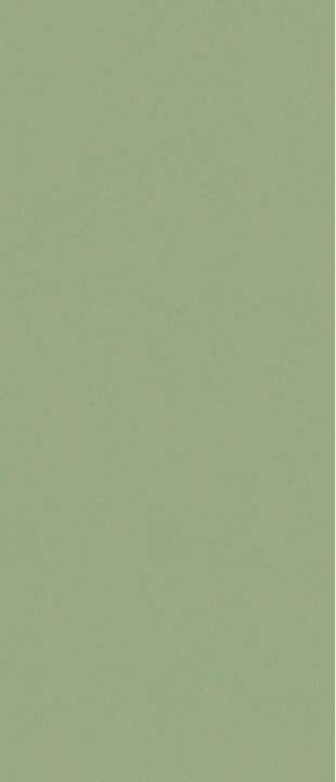 Pine Green Matt 120x280 (1200x2800)