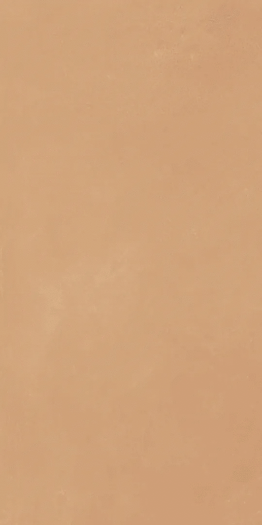 Terracotta R10 RT Ultramatt 60x120 (600x1200)