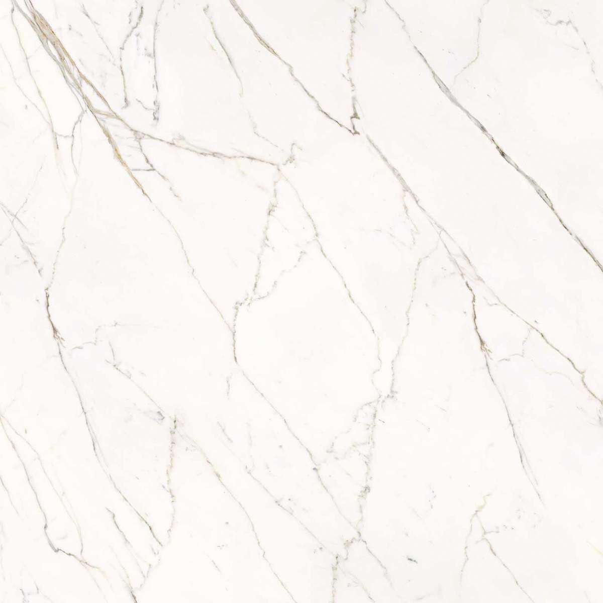 Calacatta Statuarietto Lappato 120x120 (1200x1200)