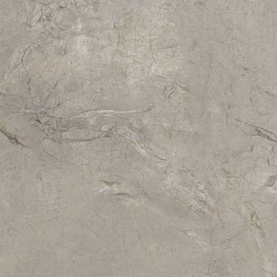 Silver Grey Silk 120x120 (1200x1200)
