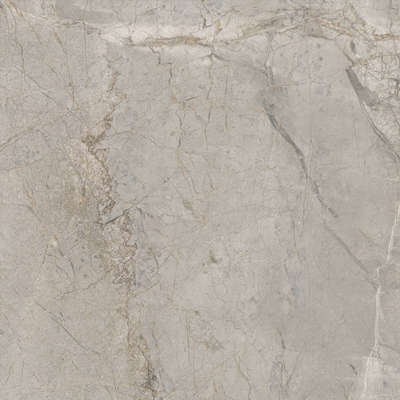 Silver Grey Silk 60x60 (600x600)