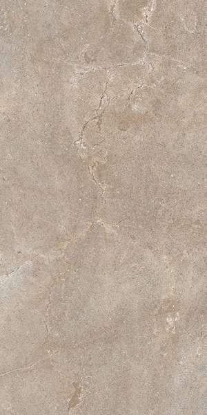 Imperiale Walnut R11 RT 30x60 (300x600)