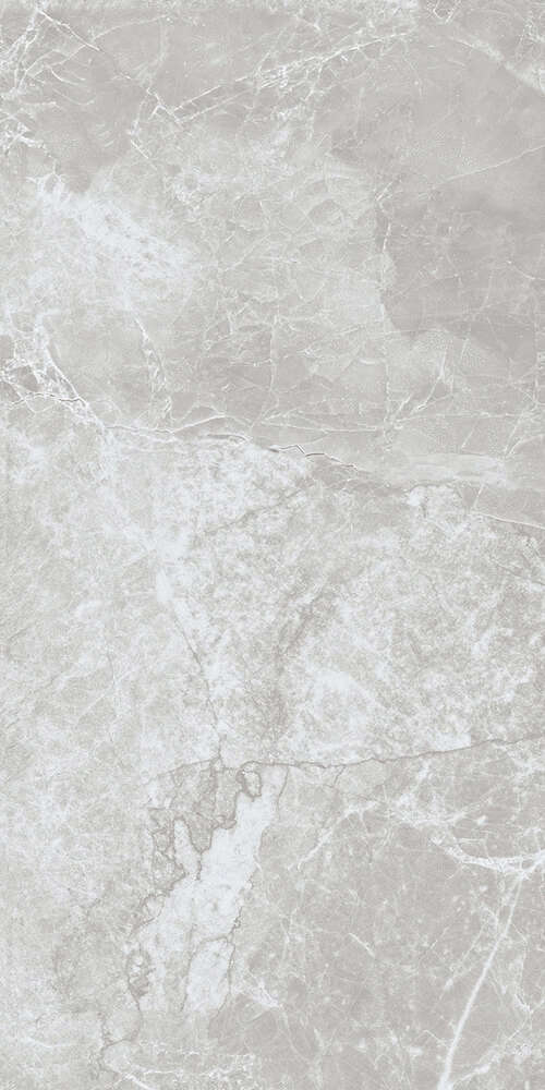 Grey Feather matt Satin 60x120 (600x1200)