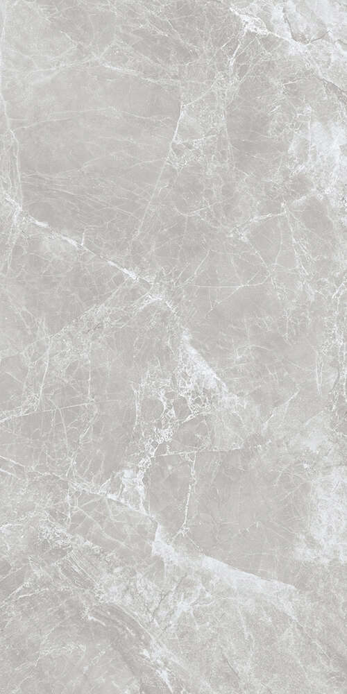 Kerald Carlino Grey Feather matt Satin 60x120 -3