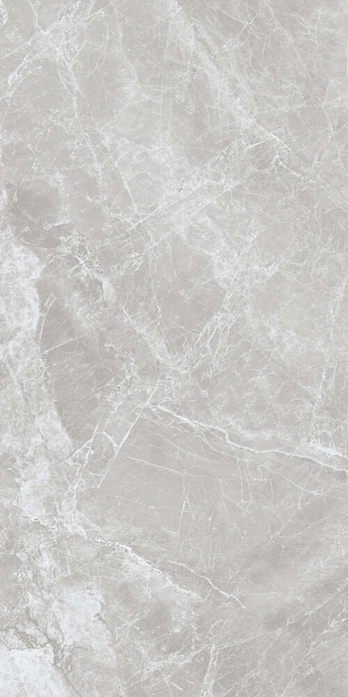 Kerald Carlino Grey Feather matt Satin 60x120 -5