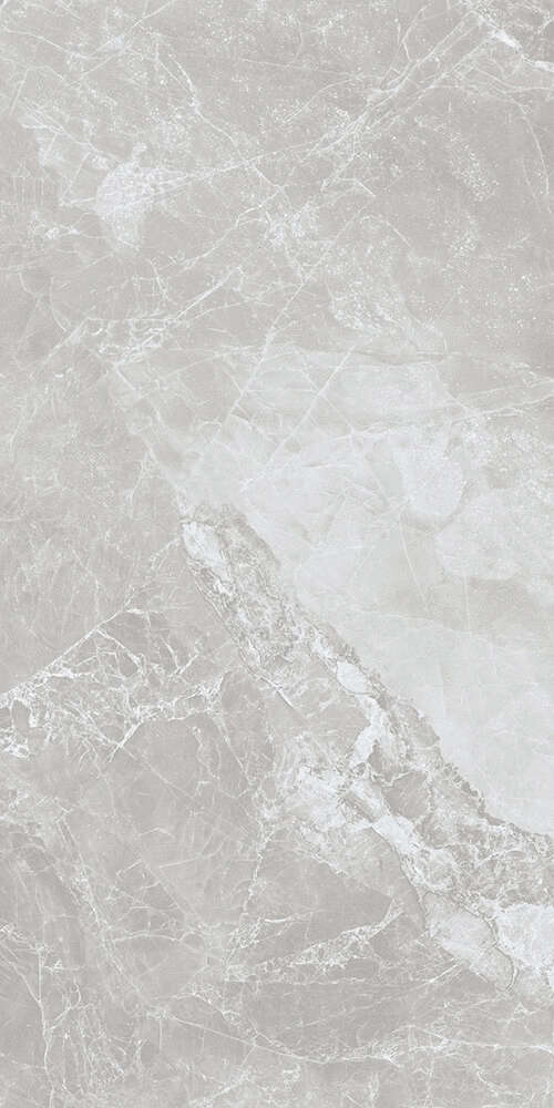 Kerald Carlino Grey Feather matt Satin 60x120 -6