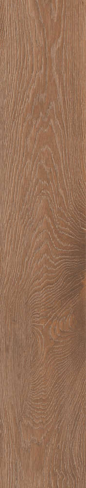 Teak  Matt 20120 (200x1200)