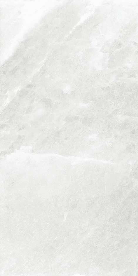 QI612S4090MPolish60x120 (600x1200)